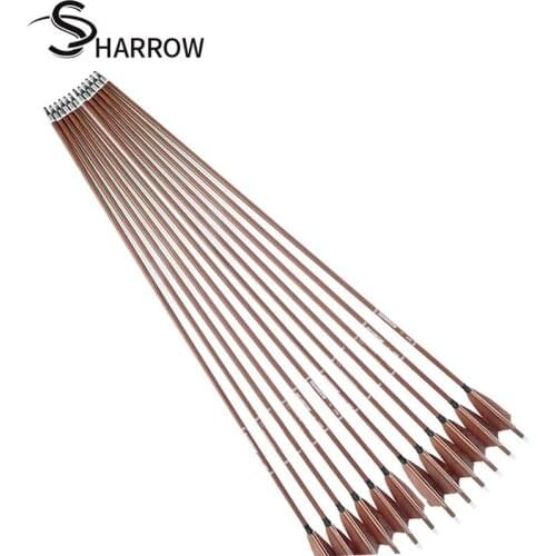 8pcs 31inch Archery Pure Carbon Arrows SP340 400 500 600 4inch Turkey Feathers Compound Recurve Bow Shooting Accessories