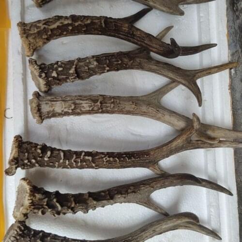 Knife handle horse antler knife handle material knife handle material antler piercing handle patch material antler knife handle