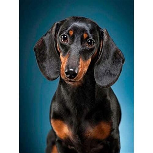 Animal Dog Printed Water-soluble Canvas 11ct Cross-stitch Set Dmc Handiwork Adults Printed 11CT Cross Needle