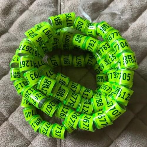2019 Pigeon Foot Ring Rings suppliers GB yellow Rings 100pcs/Lot bird rings 8mm