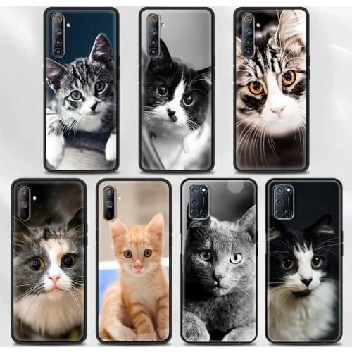 Cat Lovely Phone Case For Realme GT Neo 8 7 6 Q2 Pro 7i Q2i C25 C21 C20 C15 C11 C3 V15 V13 X50 5G Cover Silicon Capa
