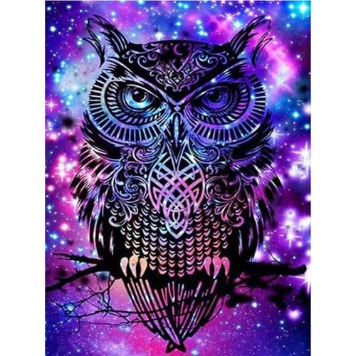 5D Diy Diamond Embroidery Mosaic Animal Owl Paintings Full Rhinestone Picture Cross Switch Wall Art Poster Handmade Decoration