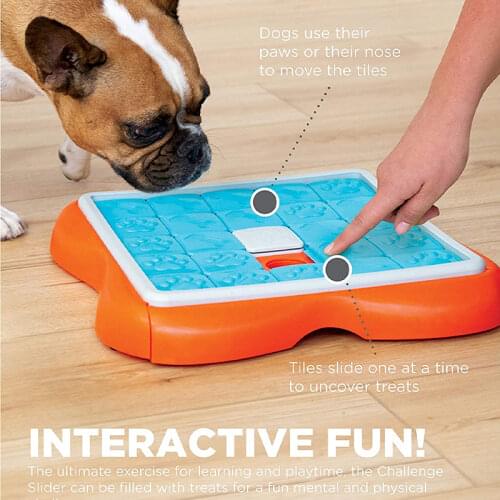 IInteractive Treat Puzzle Dog Toy Slow Food Feeder ABS Funny Accessories Floor Intelligence Stimulating Training Gift for Dog