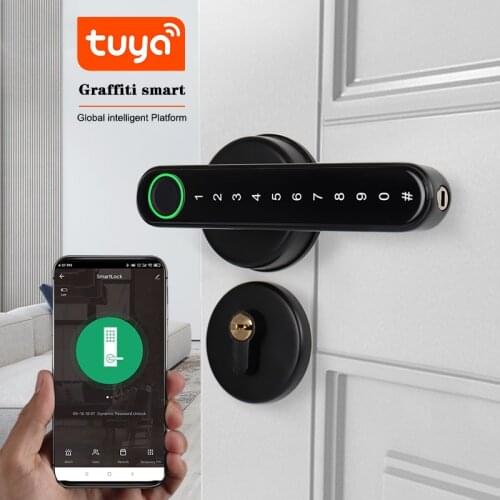Eseye Wifi Electronic Smart Door Lock With Tuya App, Security Biometric Fingerprint Lock Password RFID Card