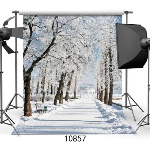 Ice Frozen Snowy Winter White Photography Backdrops Photo Background 3D Vinyl Cloth Backdrop for Photo Studio Shoot Photophone