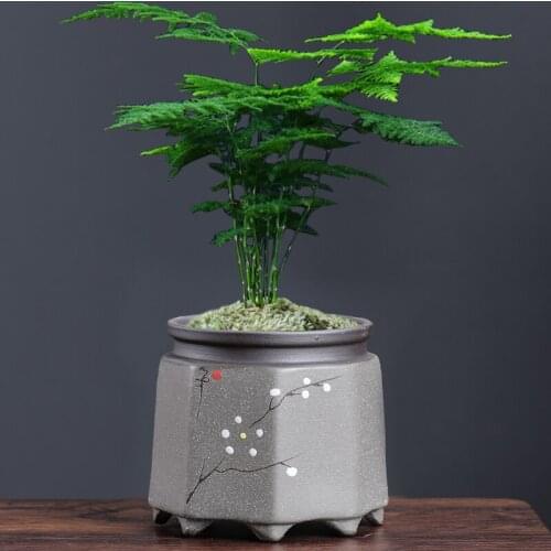 Flowerpot Purple Clay Stoneware Breathable Home Office Phalaenopsis Creative Simple Personality Green Plant Succulent Orchid Pot