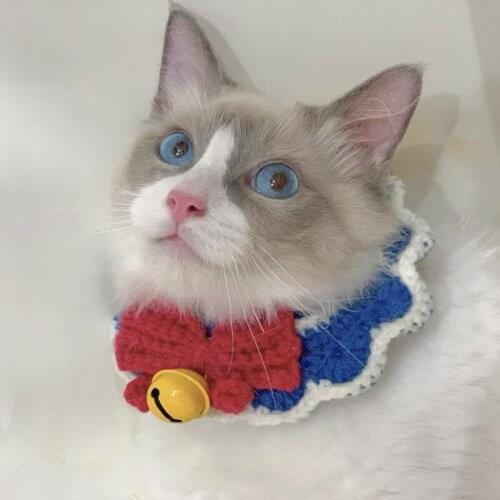 Cat collar handmade diy wool knitting beautiful girl bowknot cute blue cat British short dog collar
