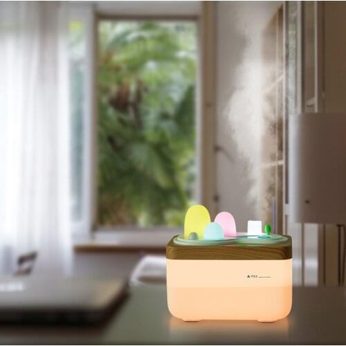 Creative garden home aromatherapy lamp humidifier USB night light mute mini home office humidifier with remote control
