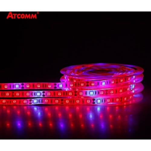 5050 LED Strip Light Phyto Lamp With 12V Power Adapter 5m 300 LEDs Full Spectrum Grow Lights For Indoor Plants Flowering Seeding