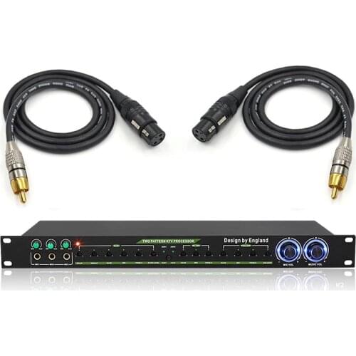 TZT Analog Effector Two Pattern KTV Processor Home KTV Preamplifier Effector Mic Reverb For Cannon Or RCA Cable