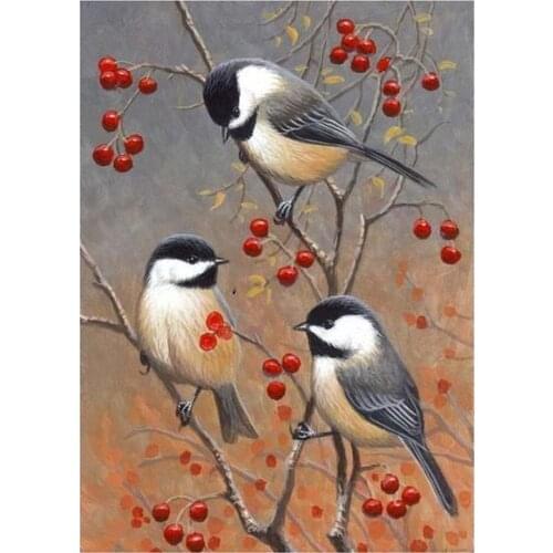 Dpsprue Full Square/Round 5D Diy Diamond Painting Cross Stitch Christmas Animal Bird Diamond 3D Embroidery Mosaic Home Decor