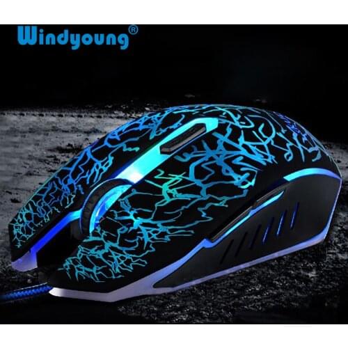 Windyoung Professional Lighting