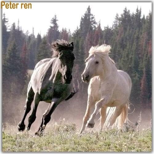 Diamond painting Diy craft Diamond embroidery Picture of rhinestones Diamond mosaic pasted Cross stitch kit horse running free