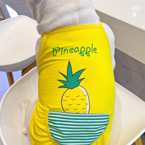 Summer Dog Skirt Vest Poodle Bichon Schnauzer Pug French Bulldog Clothes Welsh Corgi Shiba Inu Pet Clothing Frenchies Costumes