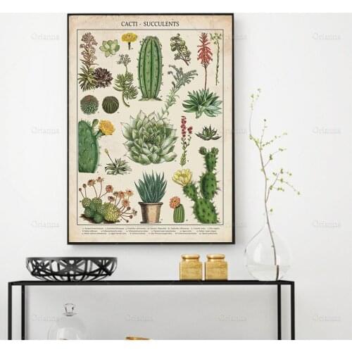 Cactus Vintage Botanical Print, Modern Art Print, Vintage Art, Succulents Poster, Floral Gift Idea - Wall Art Poster Print