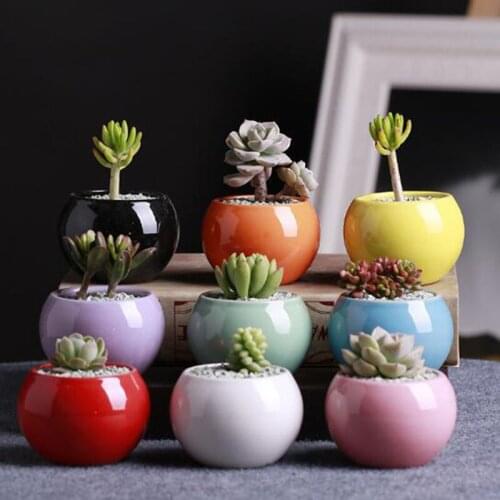 Mini Round Flowerpot Succulent Plants Pot Creative Ceramic Bonsai Pot for Office Desktop Ornaments Home Garden