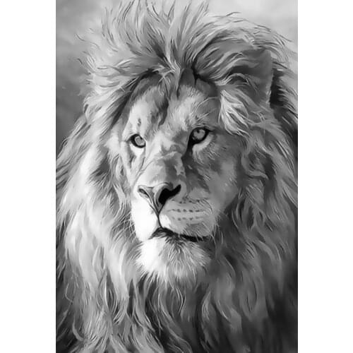 Top selling diy oil digital painting by numbers kits Animal Lion abstract acrylic paint by numbers for adults home decor
