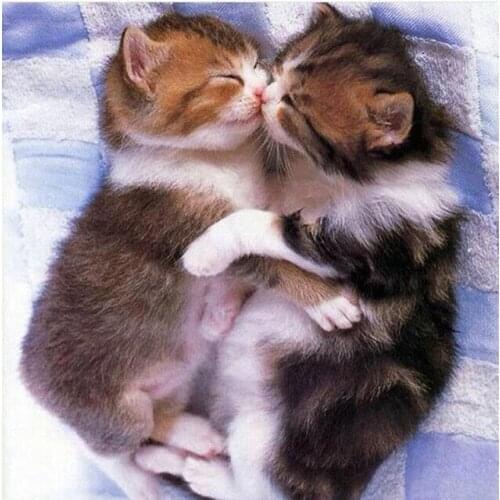 New DIY Diamond Painting Cross Stitch Two sleeping kittens Full Square&R Drill Diamond Embroidery Animal Series Home Decor