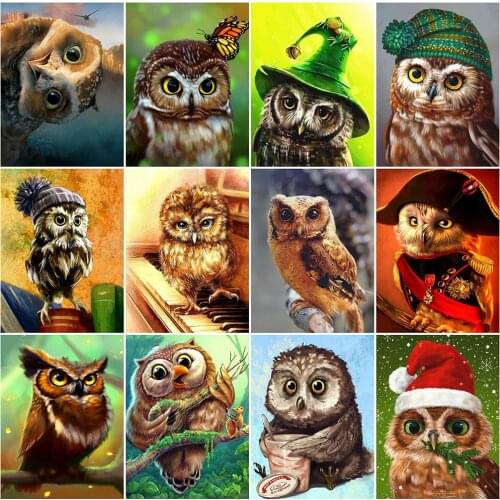 HUACAN Full Square Diamond Painting Owl 5D DIY Diamond Mosaic Animal New Arrival Home Decoration Gift