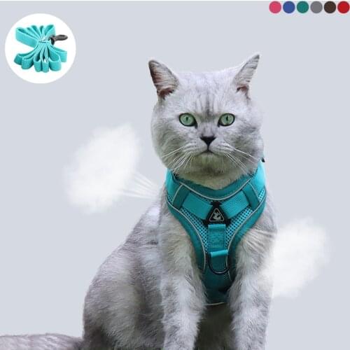 Adjustable Cat Harness Vest Reflective Breathable Mesh Puppy Dog Small Cat Belt Kitten Harness For Cats Traction Pet Supplies