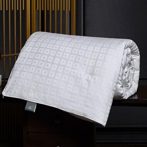 Premium Winter Autumn Handmade Silk Quilt 100% Long Mulberry Silk Filled Bed Blanket Comforters Stain 100% Cotton Cover Duvets