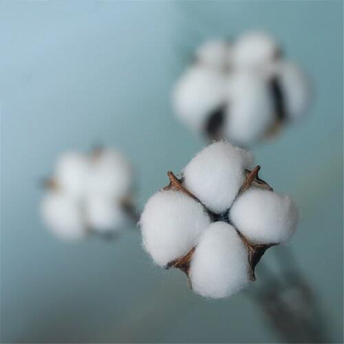 10 pcs stem artificial dried flower Cotton Head single branch fake flower DIY wedding decoration for home party