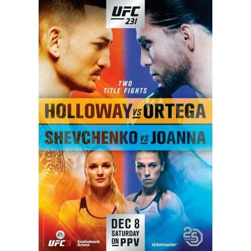 231 Fight - Holloway v Ortega, Shevchenko v Joanna Art Film Print Silk Poster Home Wall Decor 24x36inch