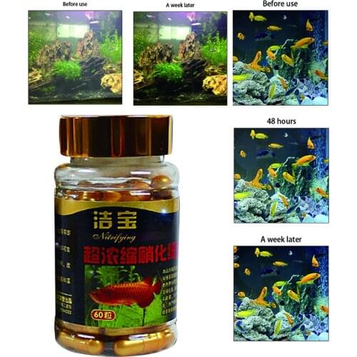 New Super Concentrated Nitrifying bacteria capsules aquarium dry powder fish tank water purification agent fish products