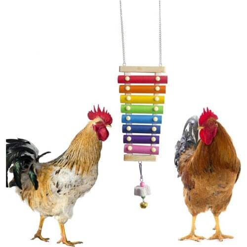 Easy to fix Pet Chickens Toy Medium and Large Parrots Toy Percussion Toy Sound Toy for Hen Chickens House TS1 Durable materials