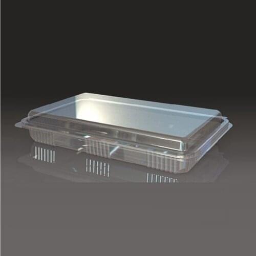 Disposable Covered Party Plate Set for 500 Gr. Plastic 100 Pcs