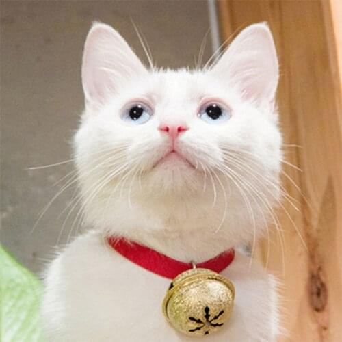 Jopet Pet Collar Cat Collar With Bell The Same Collar As Uncle Cat Doraemon Pet Accessories In Bright Red