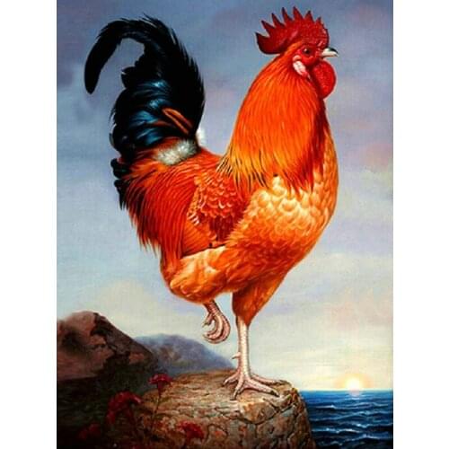 5D Diy Full Diamond Painting Cross Stitch kits Diamond Embroidery Sunrise rooste Pictures Crystals square Diamond Mosaic pattern