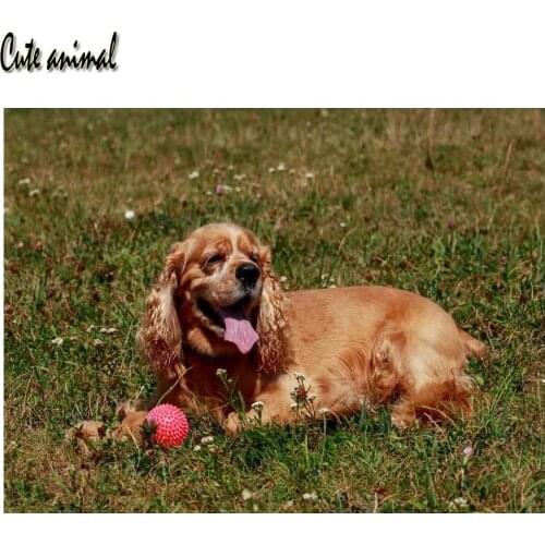 Cute animal Embroidery With Diamonds British cocker spaniel 5d DIY Diamond Painting Full Square round Diamond Mosaic pattern