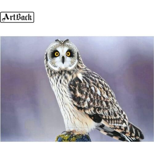 Animal 5d diamond painting owl picture full square / round drill mosaic canvas art 20x30cm diamond embroidery decoration