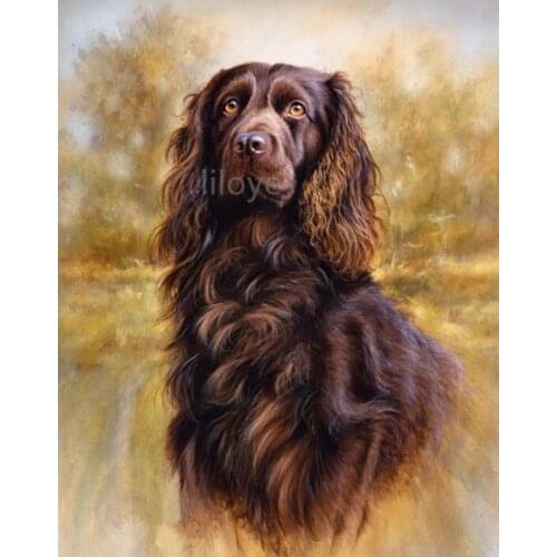 5D DIY Diamond Painting Full Square /Round Diamond Mosaic Boykin Spaniel Diamond Embroidery Mosaic Pictures of Rhinestone FG1234