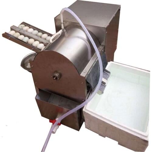 Electric Egg washing machine chicken duck goose egg washer egg cleaner wash machine 4000 pcs/h poultry farm equipment
