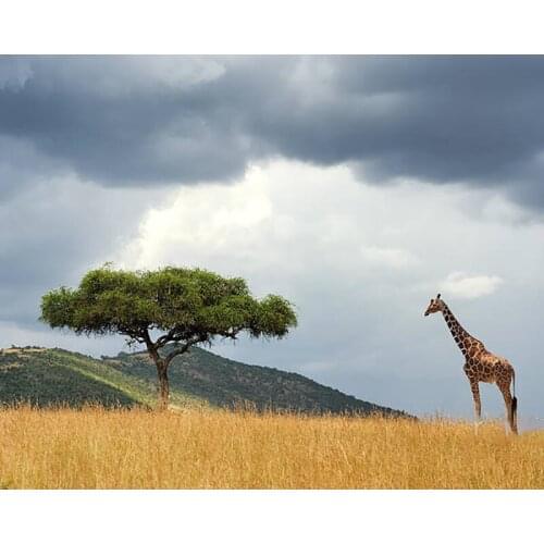 DIY Painting By Numbers Beautiful Landscape With Nobody TreeKit Oil Picture By Numbers Wall Art Painting on Canvas Home Decor