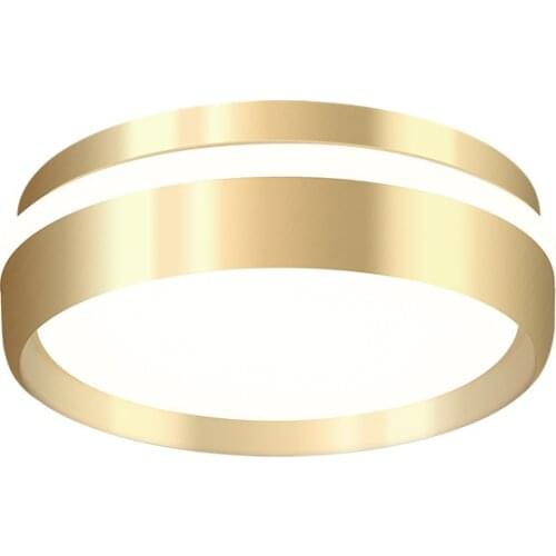 Modern Minimalist Corridor Aisle Light Porch Balcony Light Creative Nordic Led Gold Metal Acrylic Material Ceiling Lamp