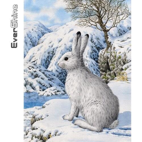Evershine Full Square Round Diamond Embroidery Animals DIY Hobby Diamond Painting Rabbit Mosaic Winter Art Handmade Gift