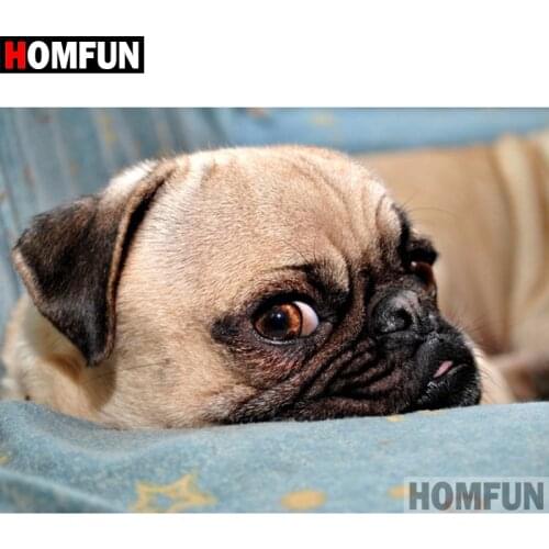 HOMFUN Full Square/Round Drill 5D DIY Diamond Painting "Animal dog" Embroidery Cross Stitch 5D Home Decor Gift A07695