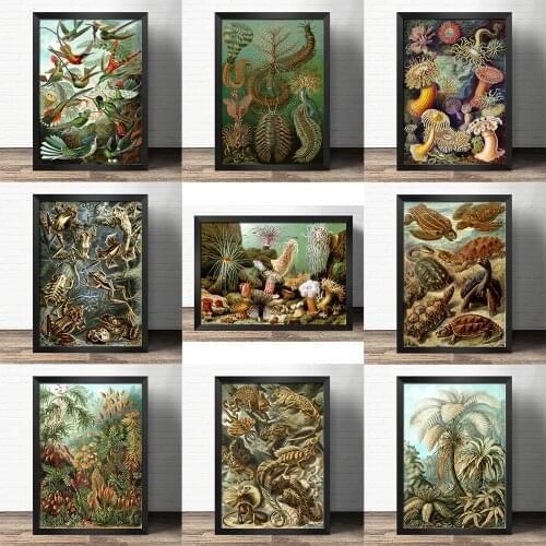 Popular science decorative painting early education world- Jurassic flora and fauna -Atlas art painting Retro poster kraft paper