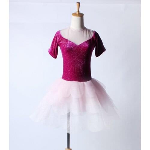 Professional Ballet Tutus Costume Girls Fancy Dance Dress Sexy V Back Ballerina Dress Kids Women Gymnastics Leotard For Dance