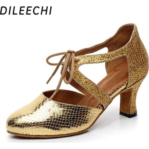 DILEECHI Silver Latin dance shoes female adult spring and summer lacing dance shoes high-heeled soft dance shoes outsole