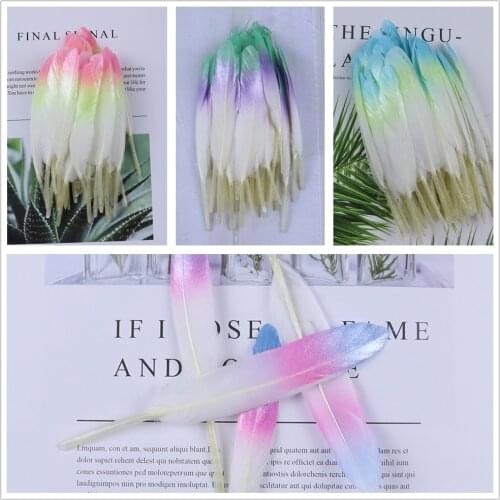 10-15cm Goose Feathers for Crafts rainbow Gradient Goose Plumes DIY jewelry decorative accessories Decorative plume 20pcs