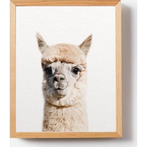 Animal Alpaca Posters And Prints Canvas Painting Farm Modern Animals Llama Wall Art Pictures For Kids Baby Nursery Room Decor