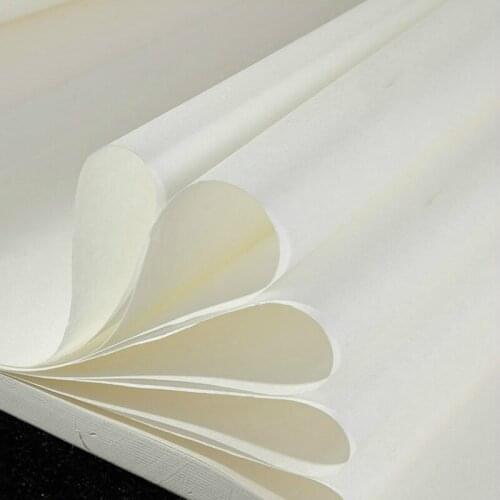 100sheets/lot Beginner Calligraphy Practice Xuan Paper Chinese Painting Xuan Paper with Golden Spot Handmade Raw Xuan Paper
