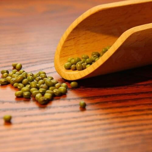 3 Pcs Wooden Small Scoop Salt Sugar Coffee Spoon Mini Kitchen Cooking Tool M56