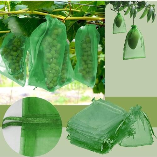 50Pcs Garden Netting Bags Plant Covers Vegetable Grapes Apples Fruit Protection Bag Agricultural Pest Control Anti-Bird Mesh Bag