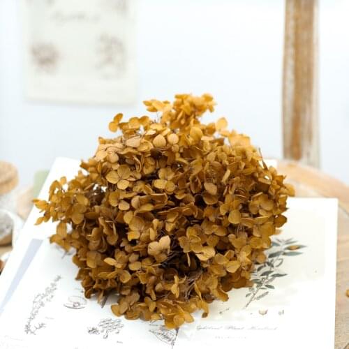 Dried flower coffee gradients 20G DIY material Grade A Anna Folium Hydrangea polychrome wedding decoration table