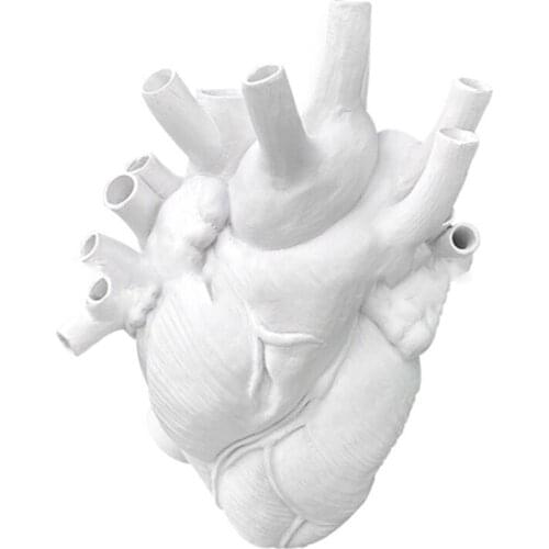 Anatomical Heart Shape Flower Vase Nordic Style Pot Dried Sculpture Desktop Plant for Home Decor Ornament Gifts